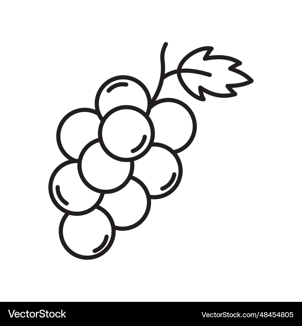 Grape outline style icon Vector Image