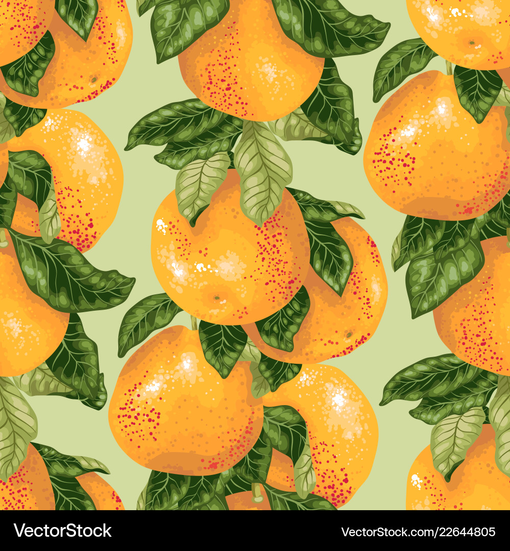 Seamless pattern with grapefruit branch Seamless pattern with grapefruit branch Vector Image