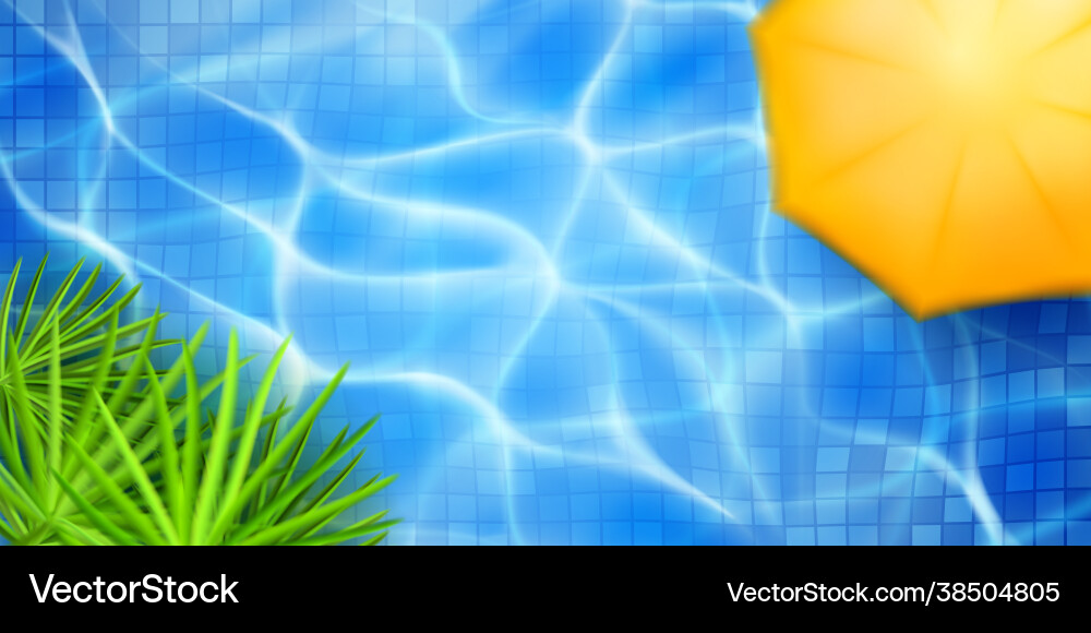 Swimming pool top view Royalty Free Vector Image