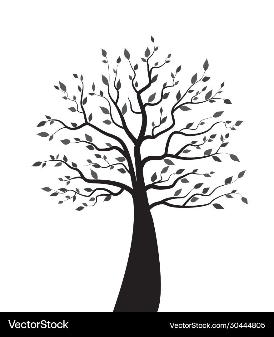 Trees with leaves Vector Image