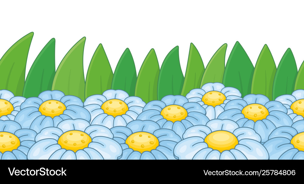 Chamomile border vector image