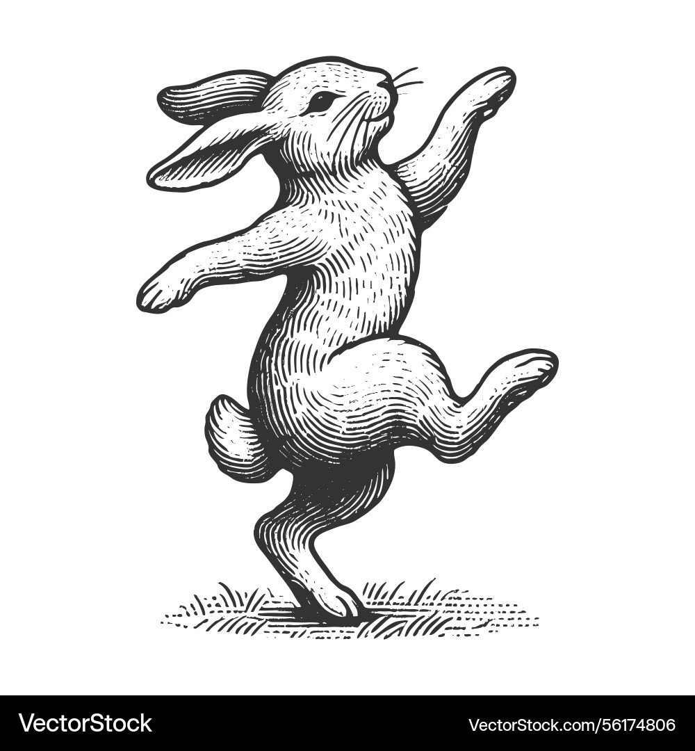 Dancing easter bunny engraving Dancing easter bunny engraving vector image