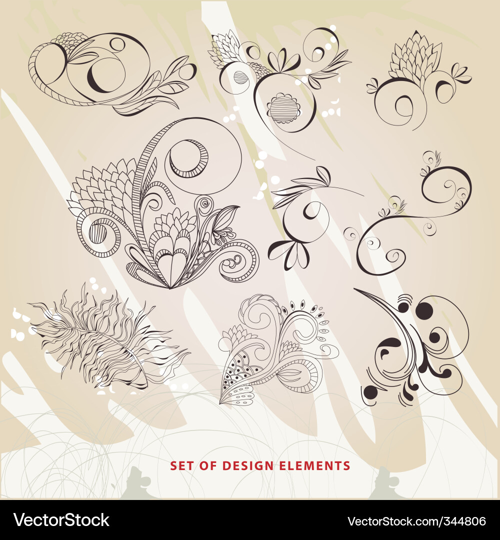 Elegant Swirl Elements vector image