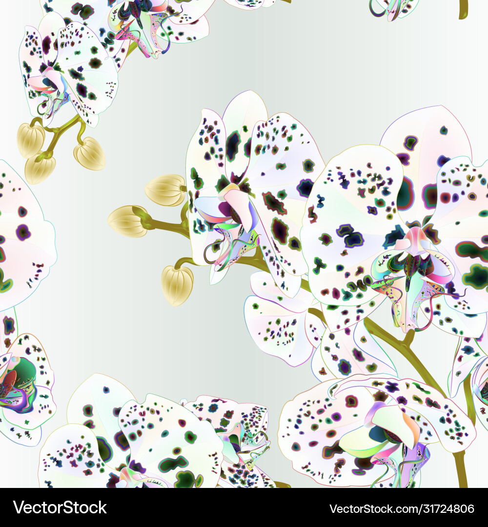 Seamless texture branch orchids with dots Vector Image