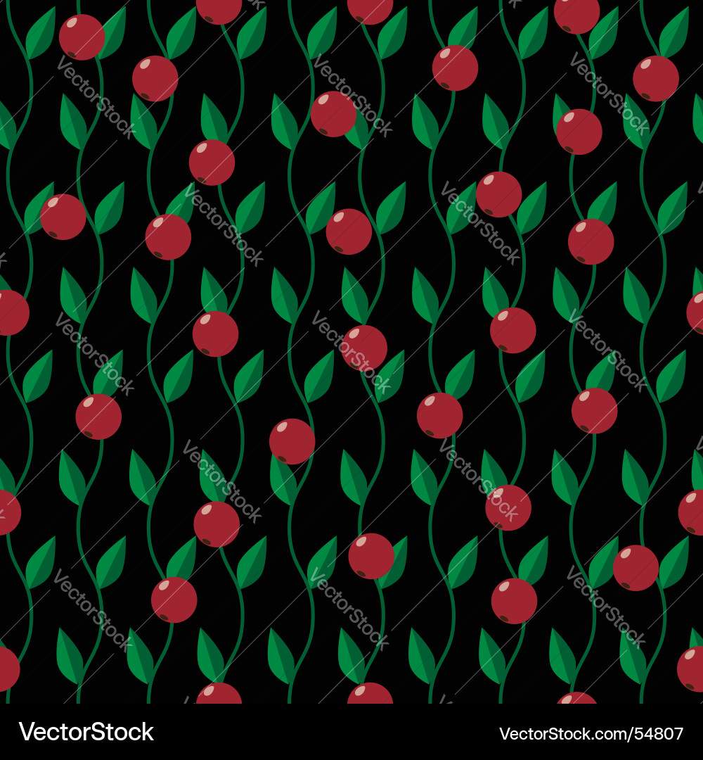 Cranberry Stem Pattern Vector Image