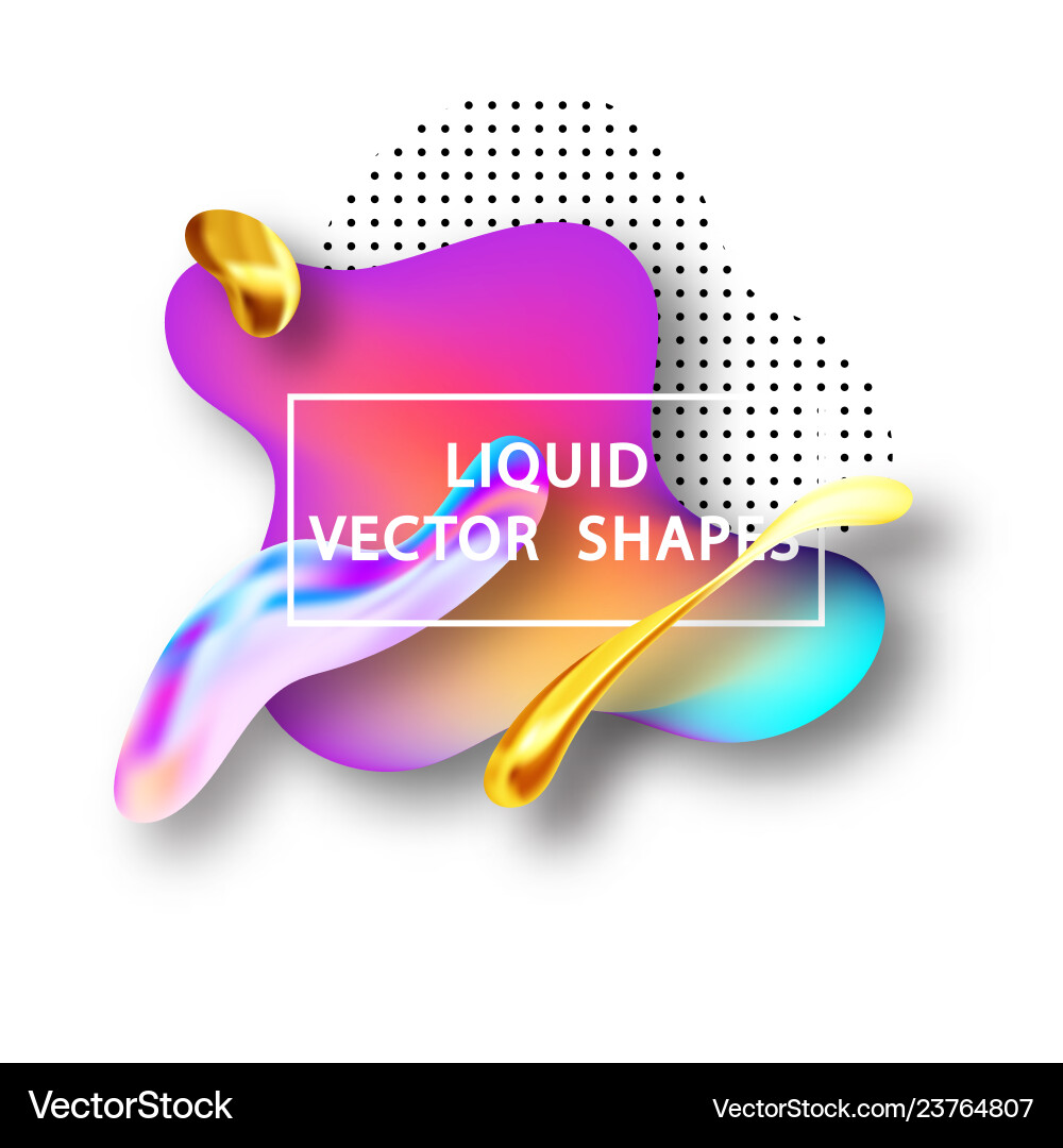 Fluid shape layout isolated template set vector image