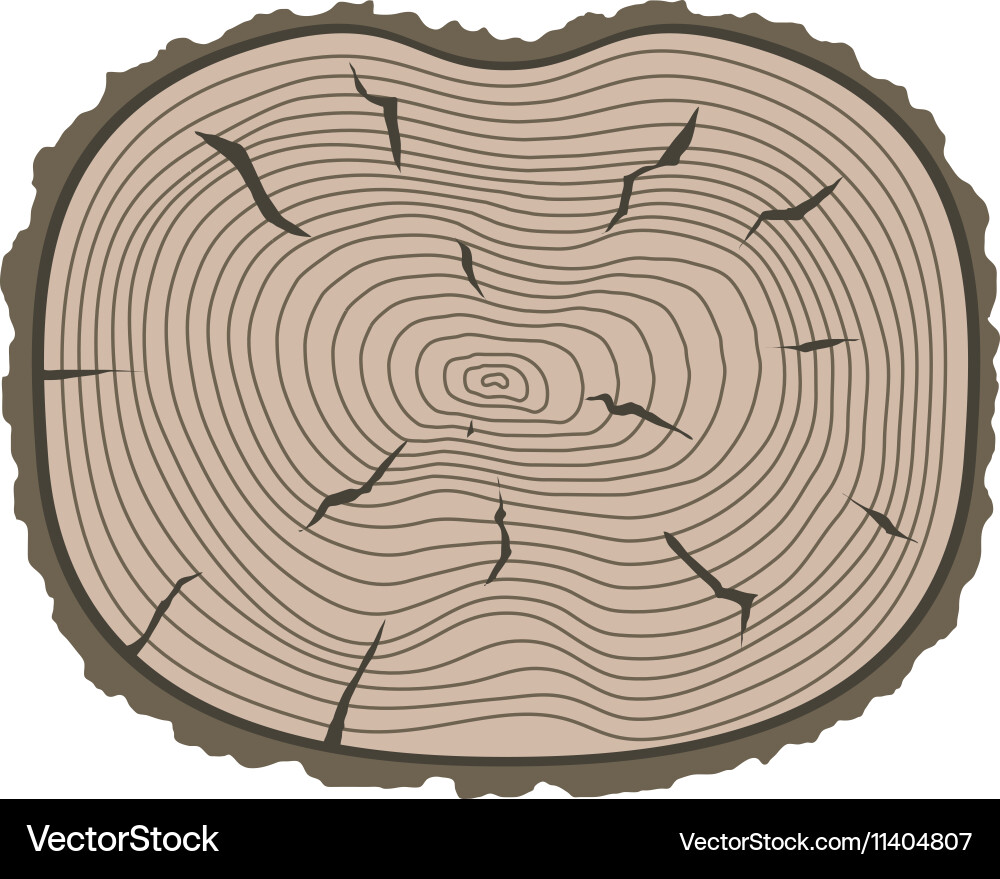 Tree slices isolated vector image