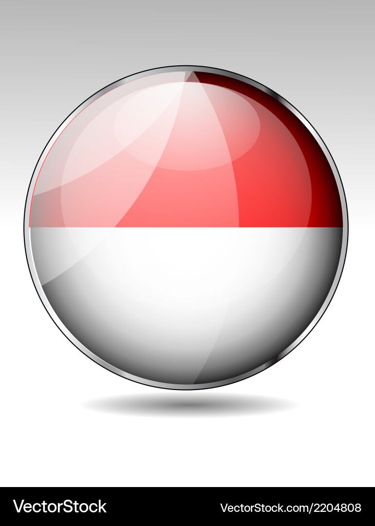 Flag button design elements vector image