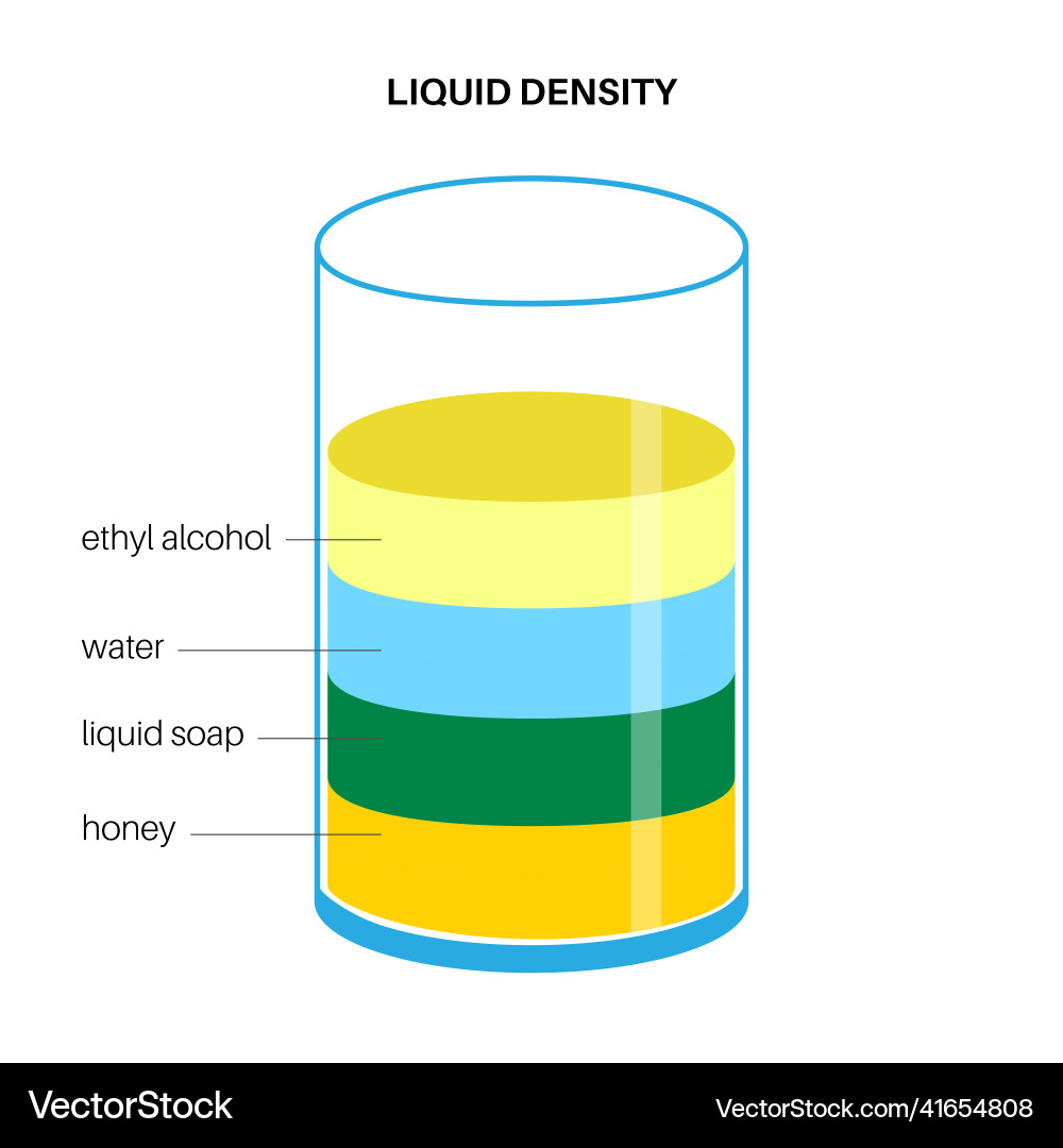 Liquid density experiment Royalty Free Vector Image
