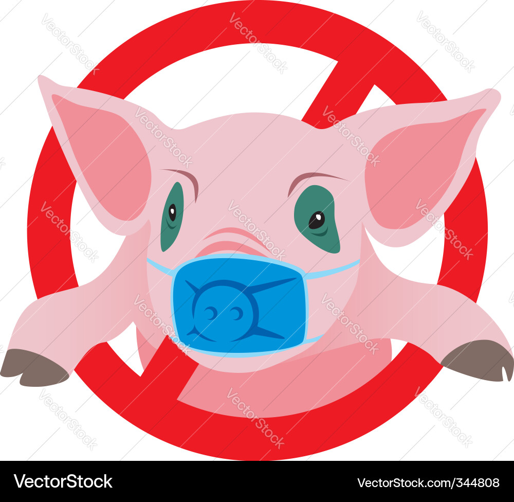 Swine flu Vector Image