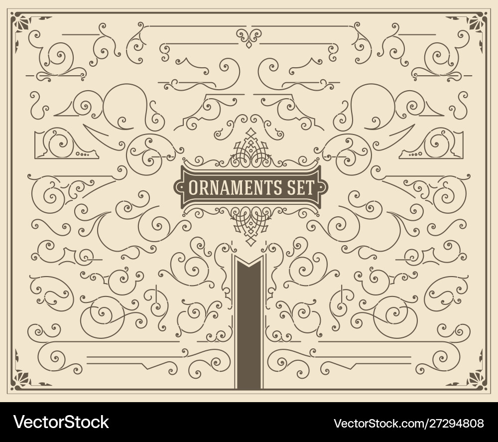 Vintage swirls and scrolls design elements Vector Image