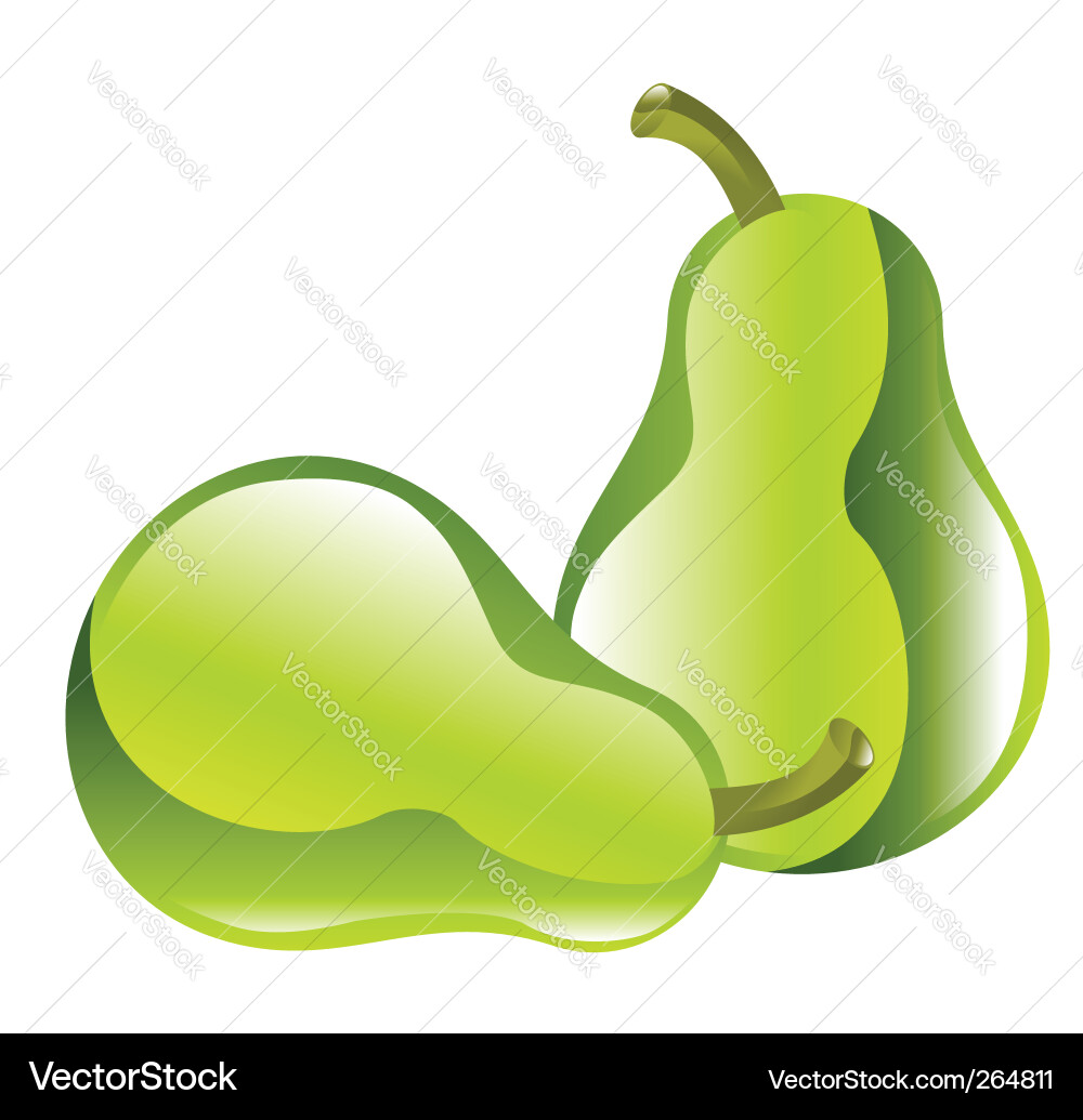 Pear vector image