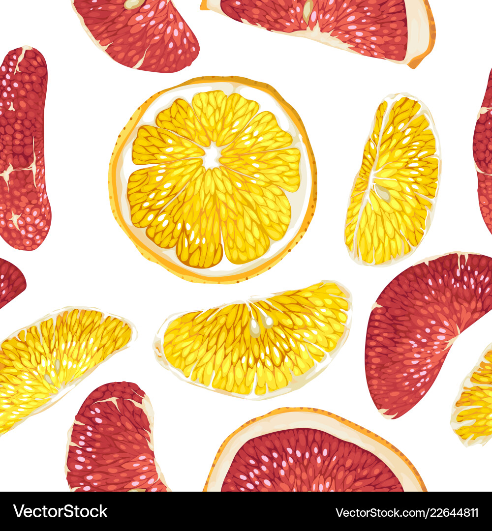 Seamless pattern in with citrus fruit slices Seamless pattern in with citrus fruit slices vector image
