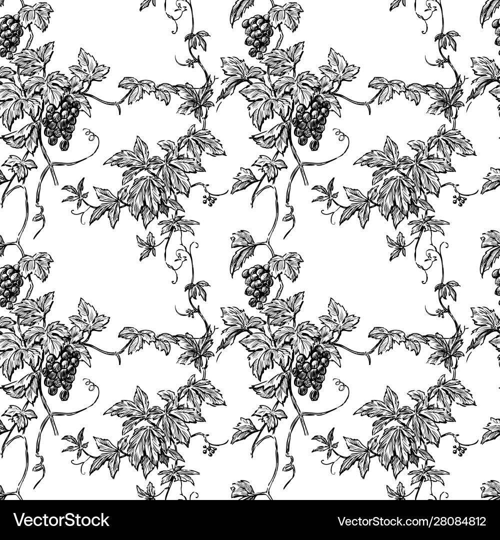 Seamless pattern sketches vine branches vector image