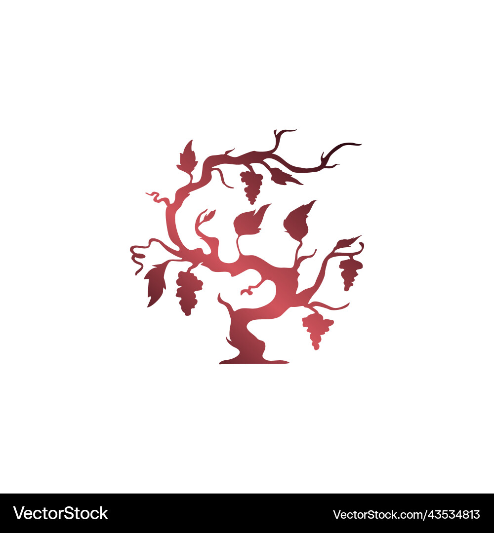 A tree and grape branches vector image