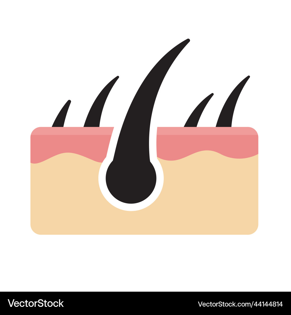 Hair icon on human skin care concept Hair icon on human skin care concept vector image