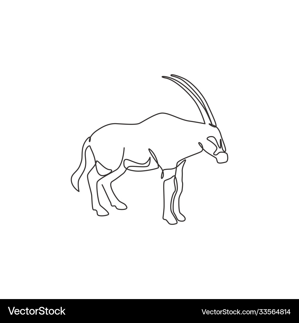 Single continuous line drawing dashing oryx Vector Image