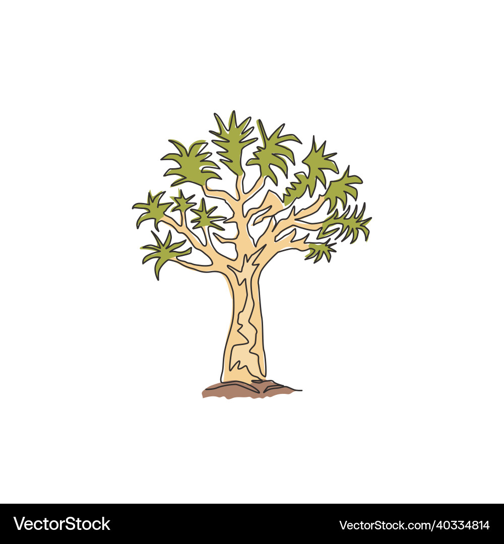 Single continuous line drawing of quiver tree Single continuous line drawing of quiver tree vector image