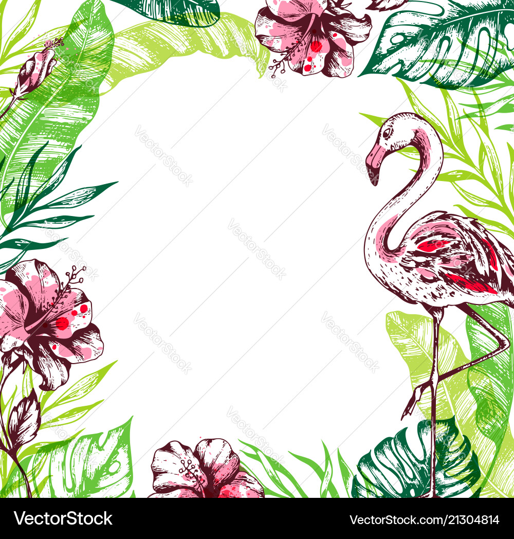 Tropical Flamingo Floral Background Vector Image