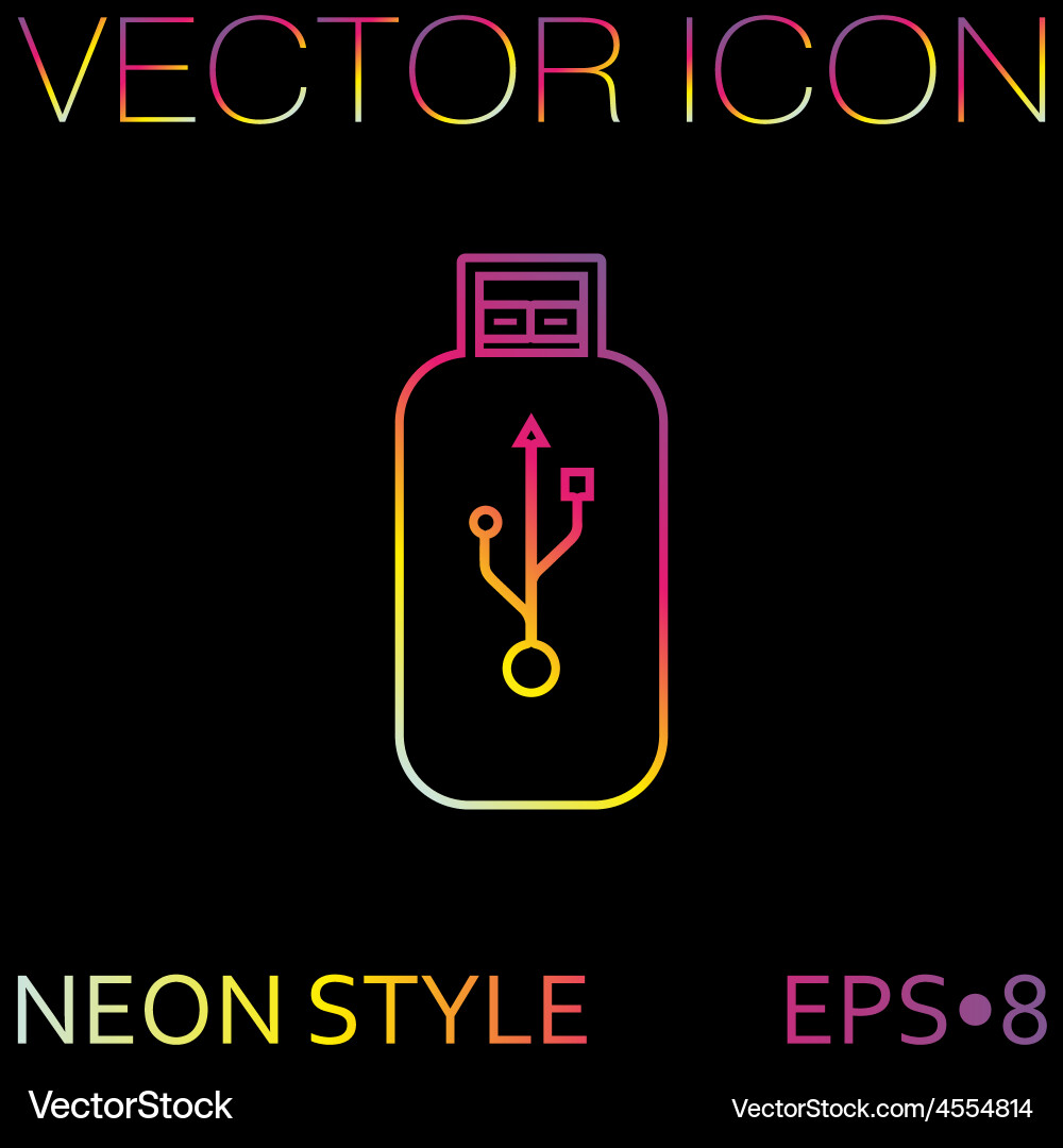 Usb flash icon disk Vector Image