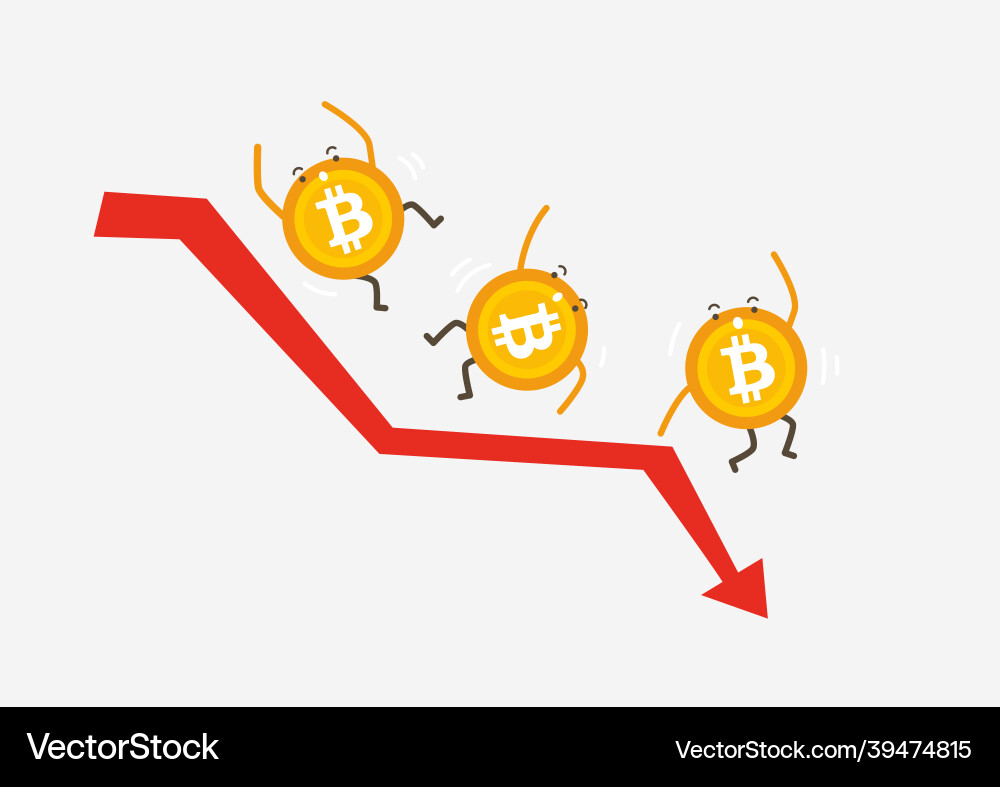 Bitcoin crash graph price drops Vector Image