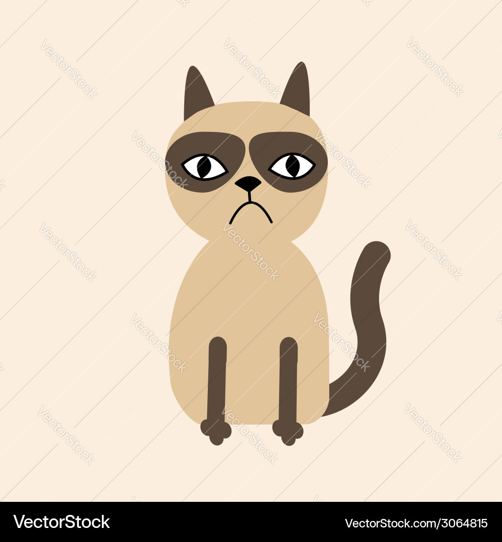 Grumpy Siamese Cat Vector Image