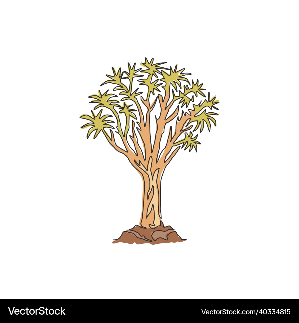 One continuous line drawing of quiver tree forest Vector Image