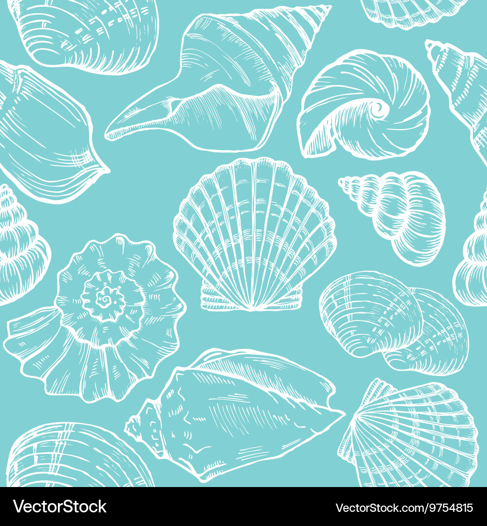 Seashell Seamless Pattern vector image