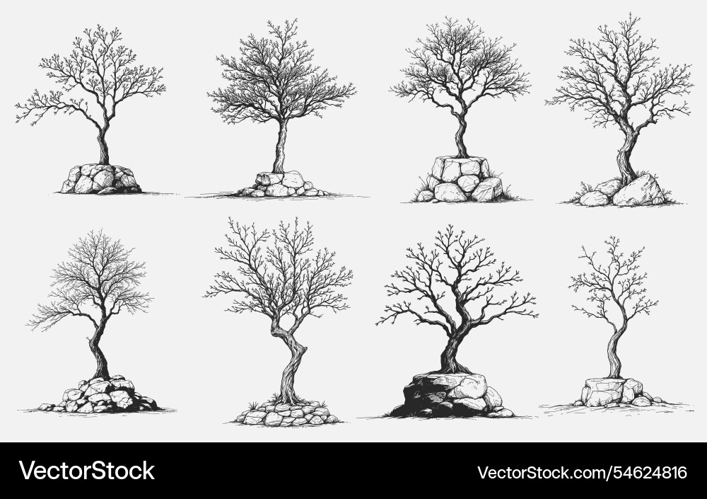 Elegant minimal tree sketches on stone bases Vector Image