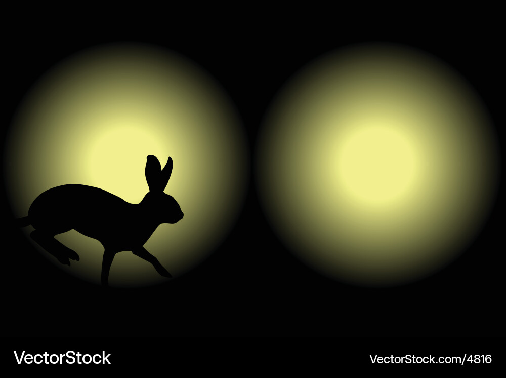 Rabbit in Headlights Vector Image