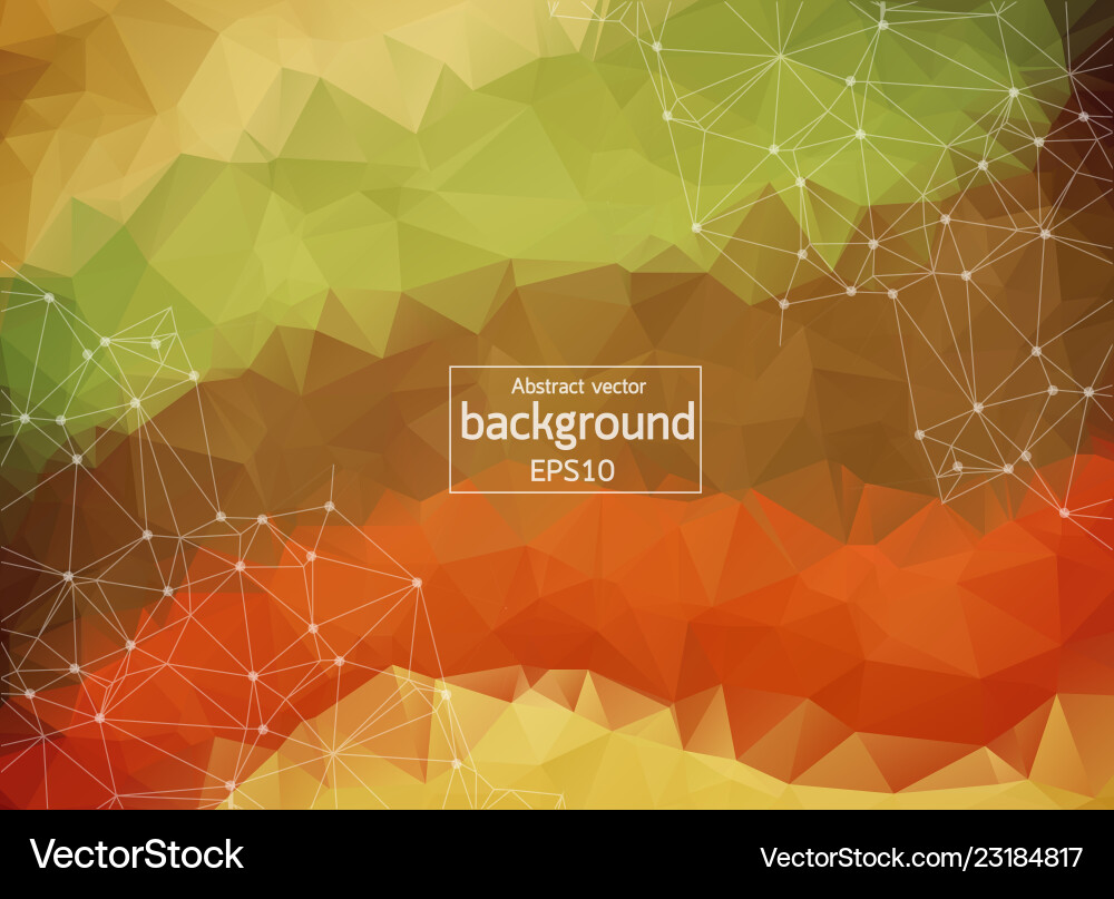 Geometric abstract background with connected line Vector Image