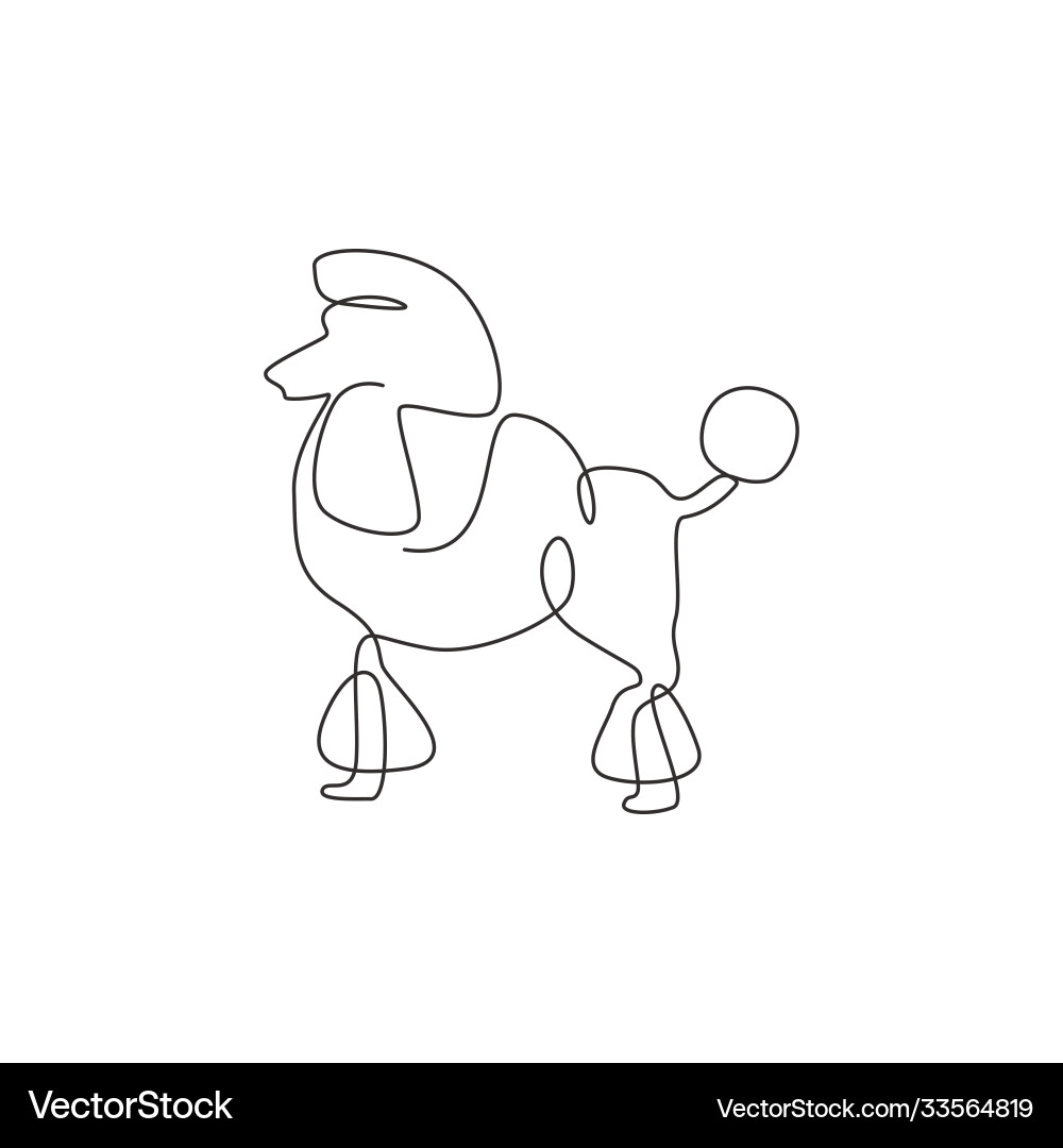 Continuous Line Poodle Drawing Vector Image