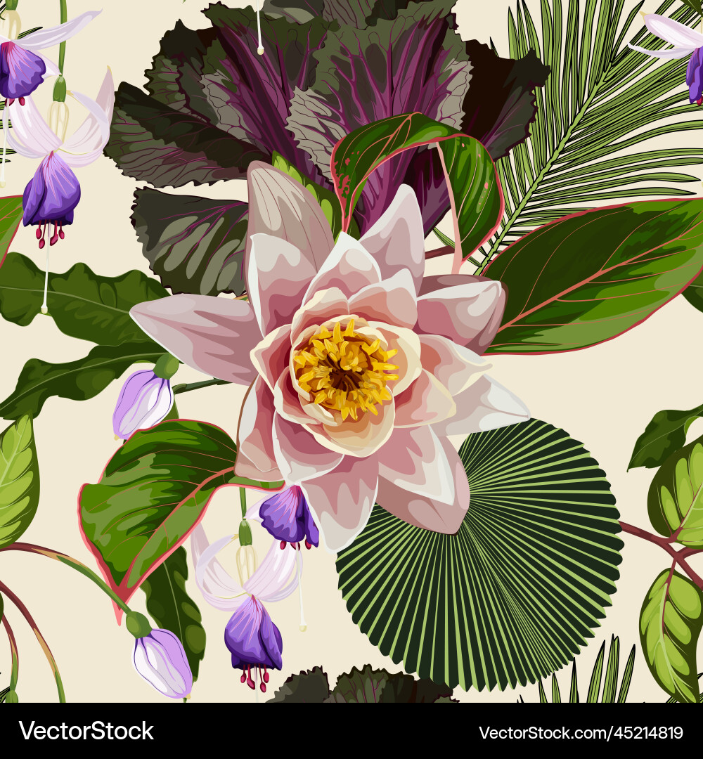 Fresh purple cabbage cauliflower chinese Fresh purple cabbage cauliflower chinese vector image
