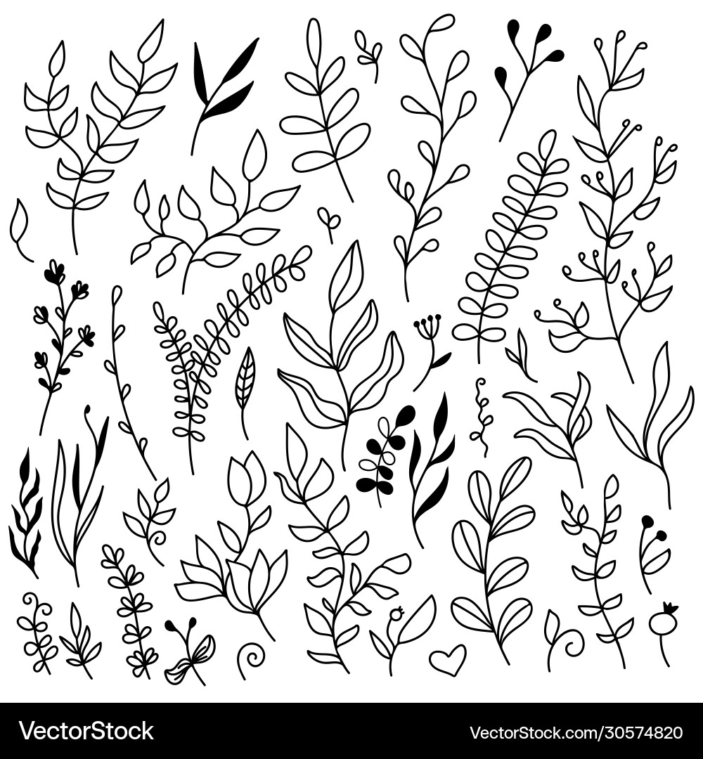 Set floral elements - leaves Royalty Free Vector Image