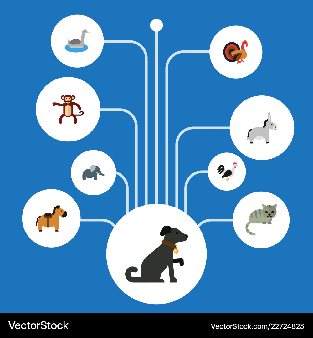 Set of zoo icons flat style symbols with cat Set of zoo icons flat style symbols with cat vector image
