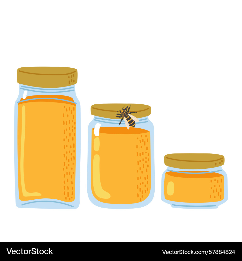 Honey jars of varying sizes with a bee Honey jars of varying sizes with a bee Vector Image
