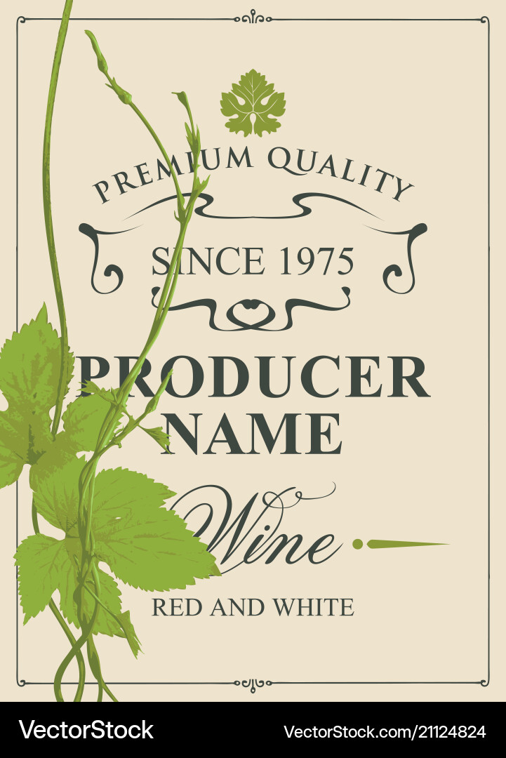 Wine label with green vine and leaves Wine label with green vine and leaves vector image