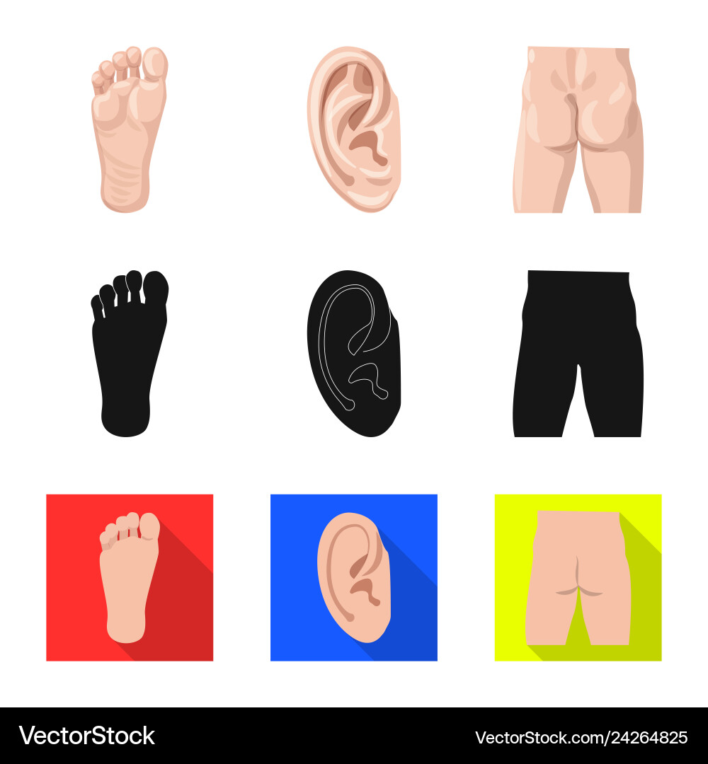 Isolated object of human and part sign set Isolated object of human and part sign set vector image