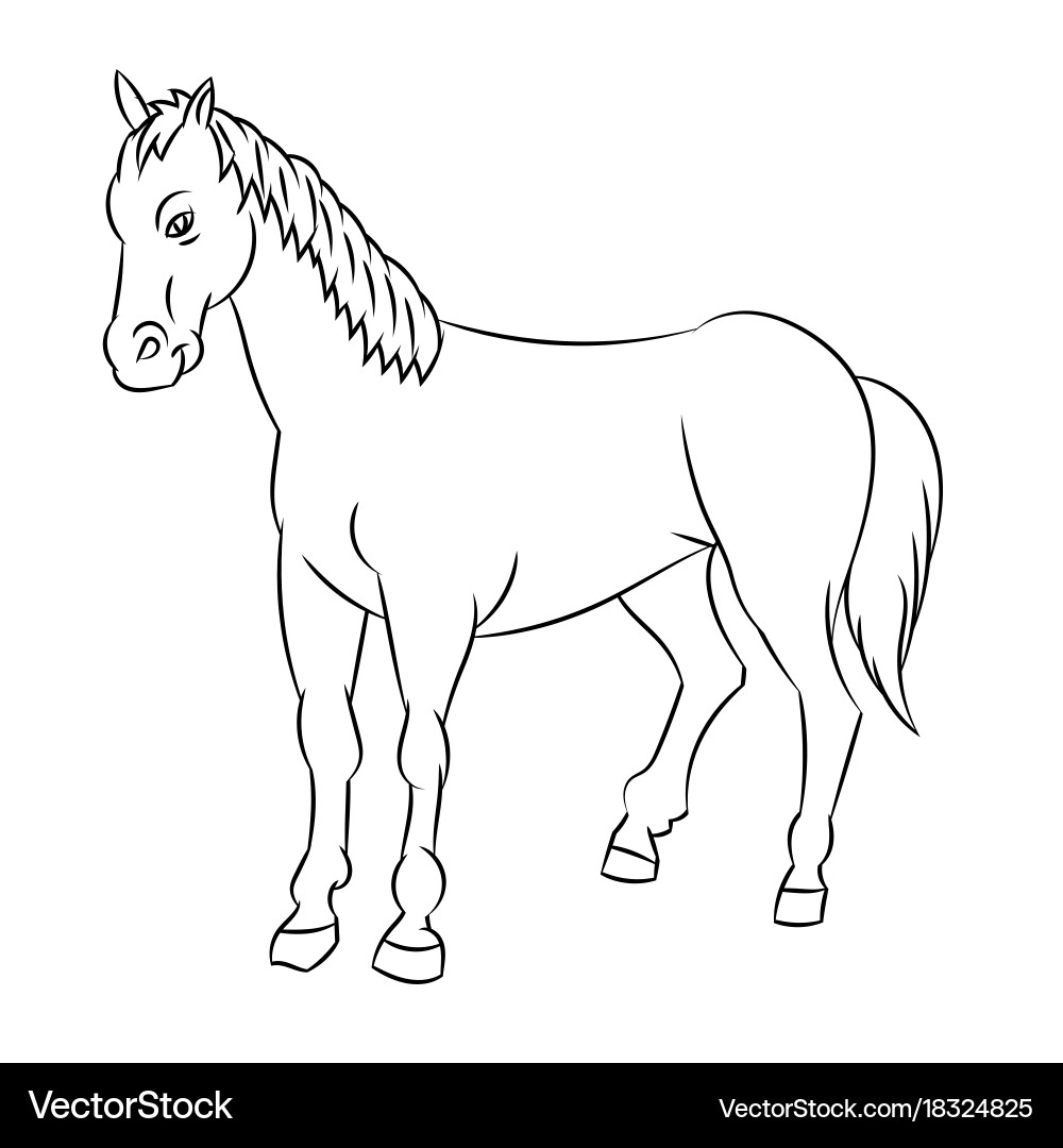 Line drawing of horse -simple vector image