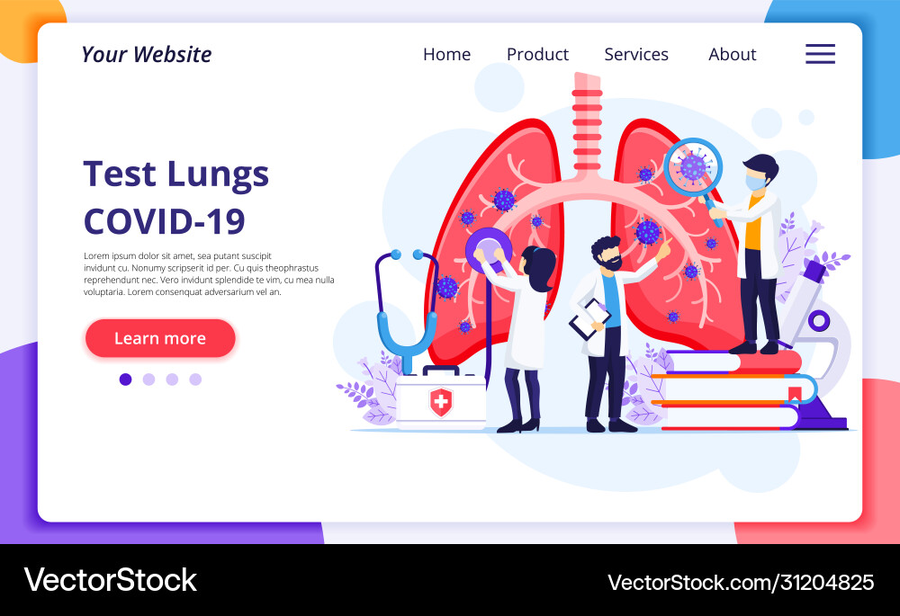 Pulmonology concept doctors check human lungs vector image