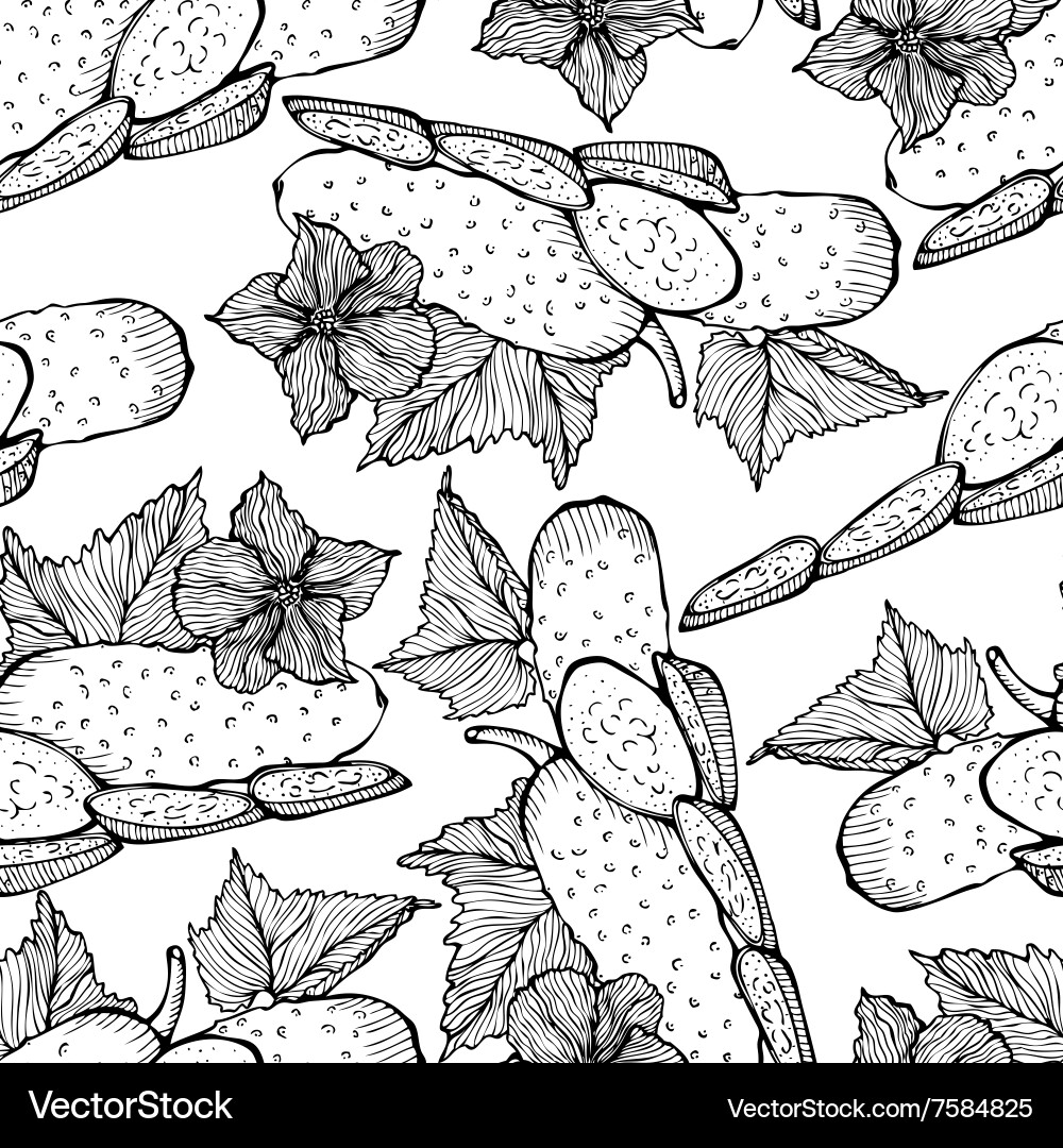 Seamless monochrome pattern of cucumber vector image