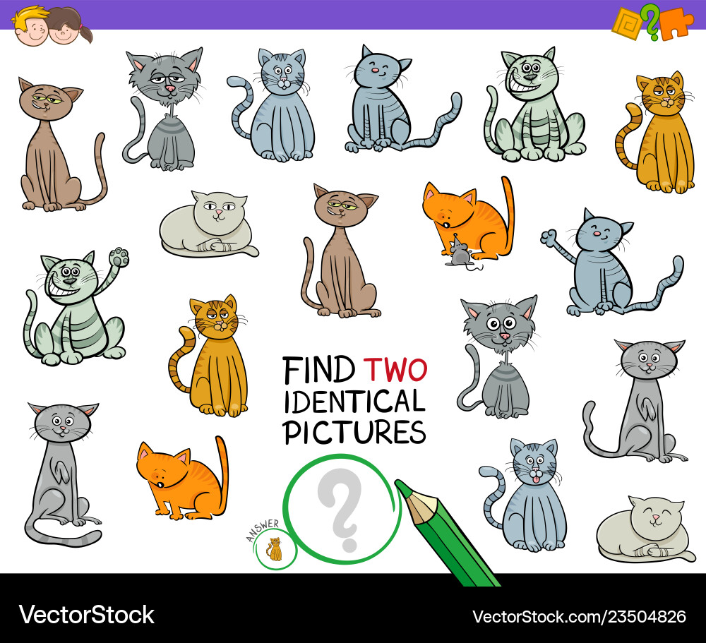 Finden Sie zwei identische Katzenbilder Spiel für Kinder Finden Sie zwei identische Katzenbilder Spiel für Kinder vektorbild
