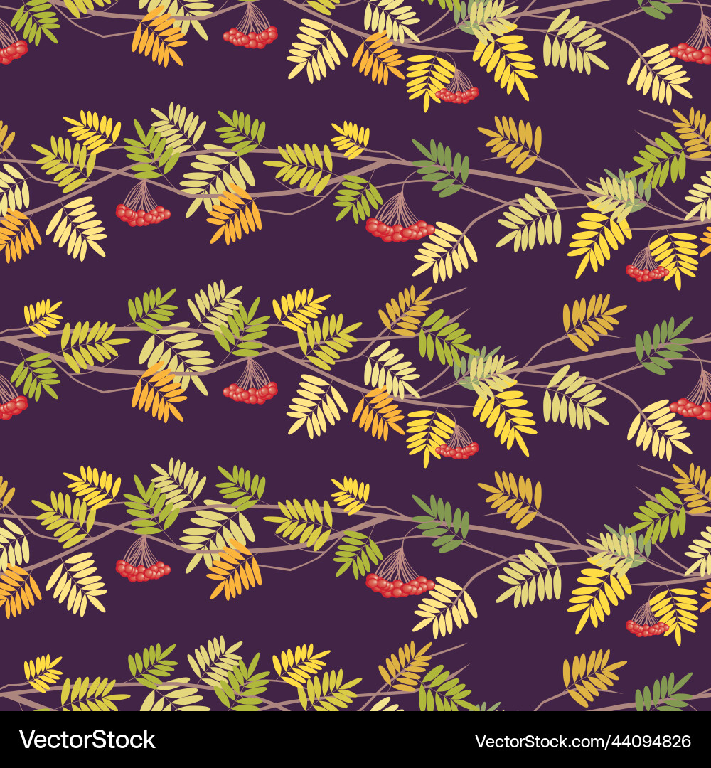 Seamless pattern of rowan tree branches vector image