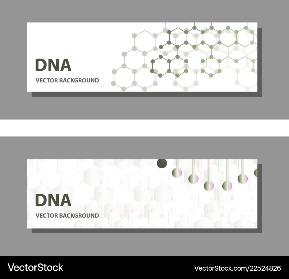 Set of 9 templates for presentation slides Vector Image