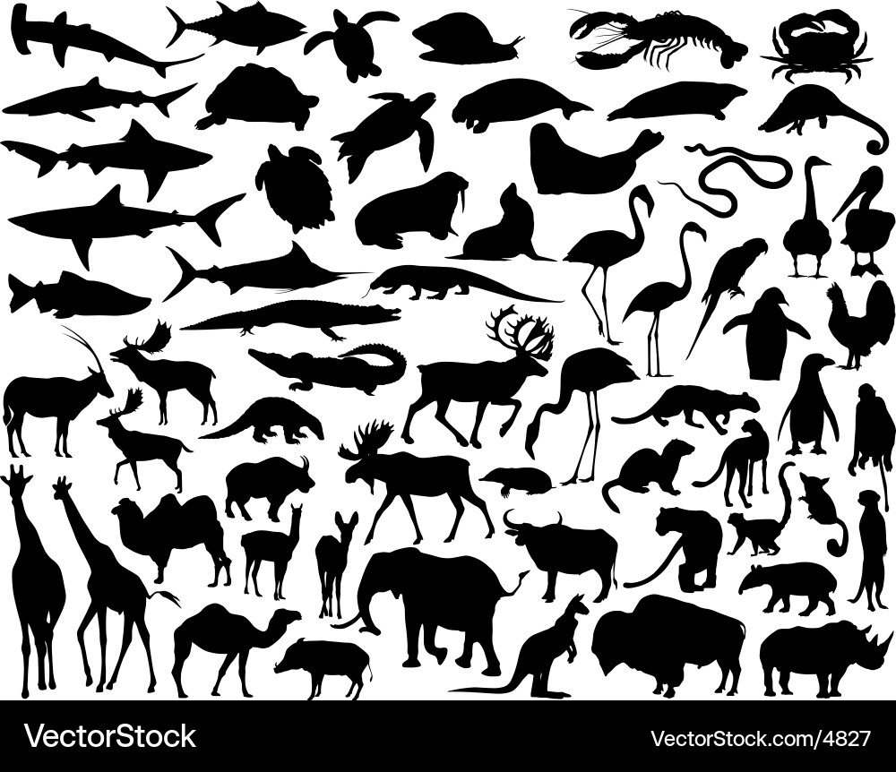 Animal Silhouettes vector image
