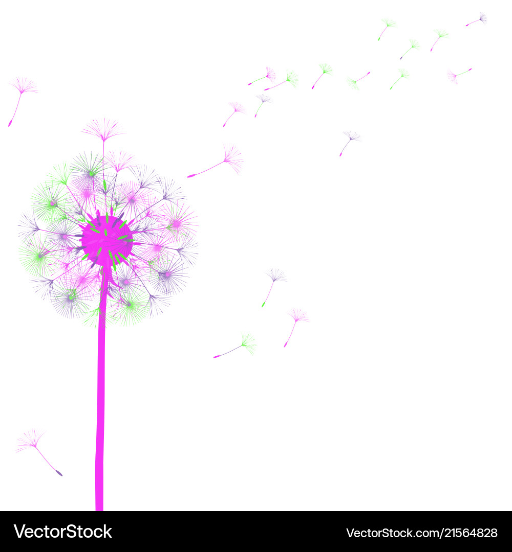 Abstract background of a dandelion for design Vector Image