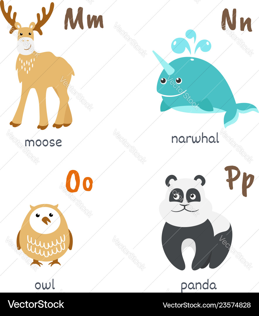 Animal alphabet with moose narwhal owl panda vector image