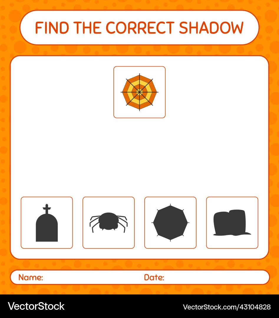Find the correct shadows game with spider web Vector Image