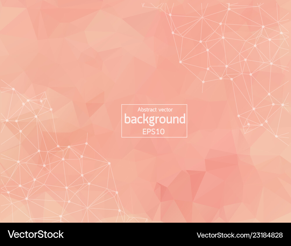 Light pink background with dots and lines design vector image