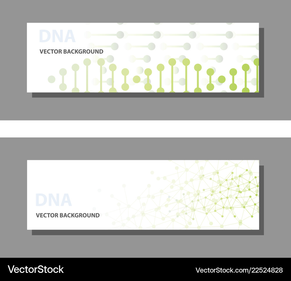 Set of 9 templates for presentation slides Vector Image
